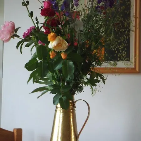 Bella Boltenhagen (Ostseebad)